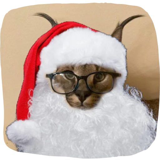 🎅 Стикер «Flopped» для Telegram