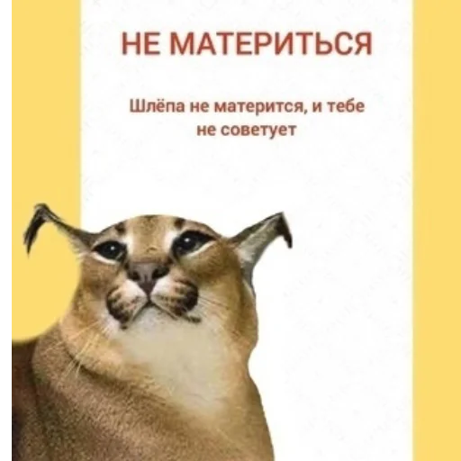 🤬 Стикер «Floppa» для Telegram