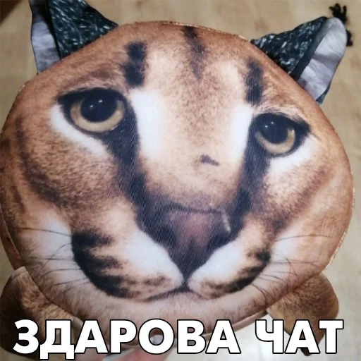 Стикерпак Floppa BLOPTOP для Telegram