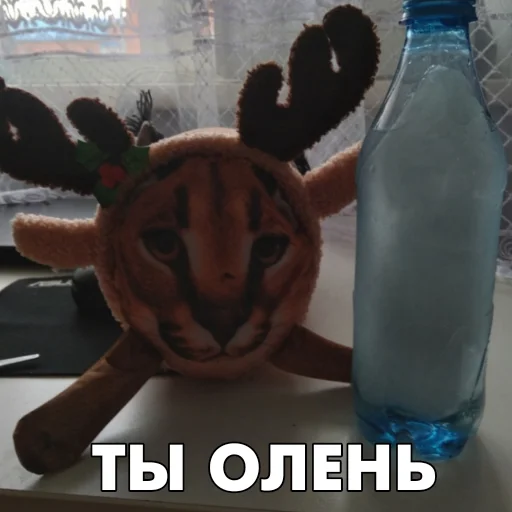 🦌 Стикер «Floppa BLOPTOP» для Telegram