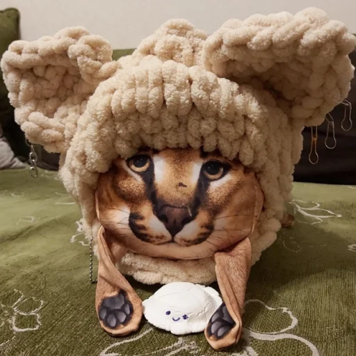 🧢 Стикер «Floppa BLOPTOP» для Telegram