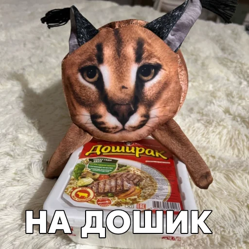 🍜 Стикер «Floppa BLOPTOP» для Telegram