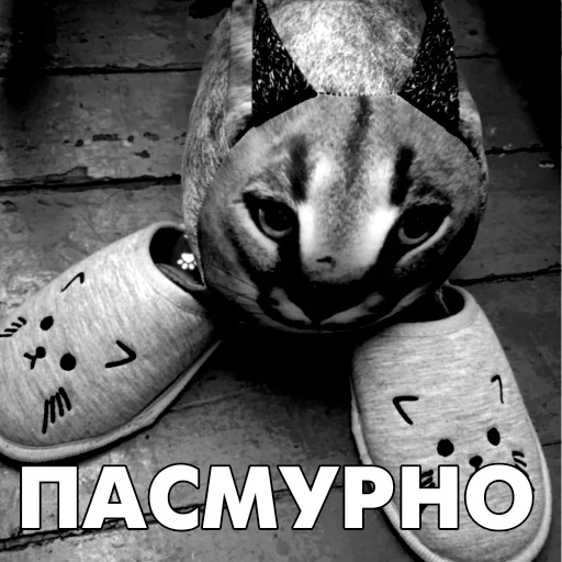 ☁️ Стикер «Floppa BLOPTOP» для Telegram