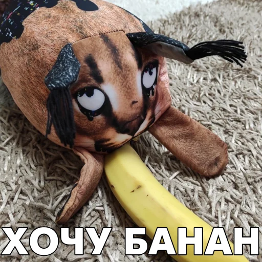 🍌 Стикер «Floppa BLOPTOP» для Telegram