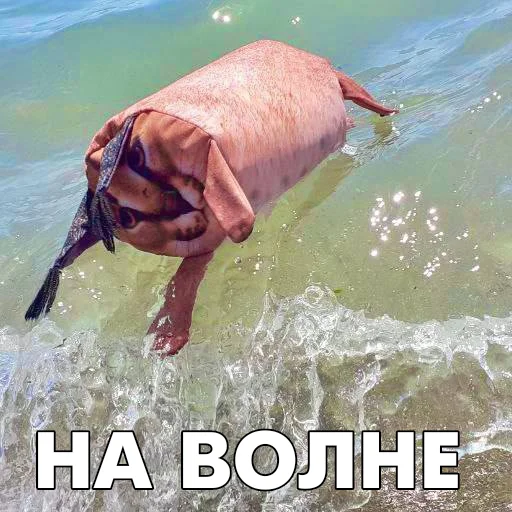 🌊 Стикер «Floppa BLOPTOP» для Telegram