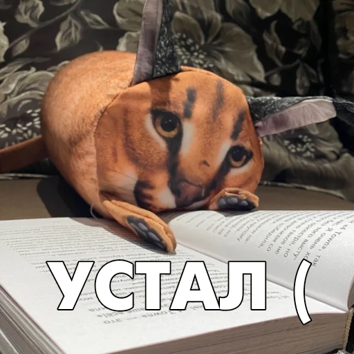 😪 Стикер «Floppa BLOPTOP» для Telegram