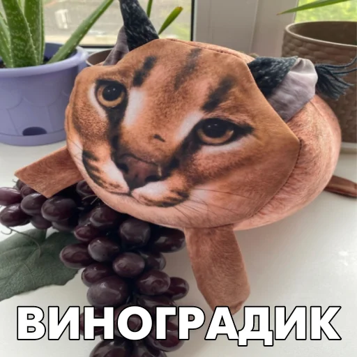 🍇 Стикер «Floppa BLOPTOP» для Telegram