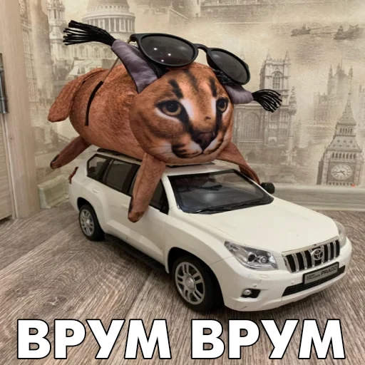 🚘 Стикер «Floppa BLOPTOP» для Telegram