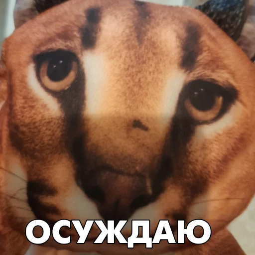 😡 Стикер «Floppa BLOPTOP» для Telegram