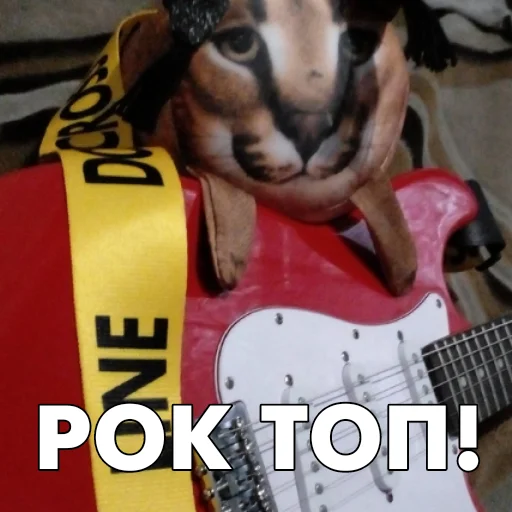👨‍🎤 Стикер «Floppa BLOPTOP» для Telegram