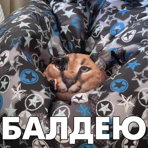 🏖️ Стикер «Floppa BLOPTOP» для Telegram