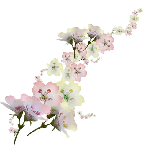 ✨ Стикер «Flores» для Telegram