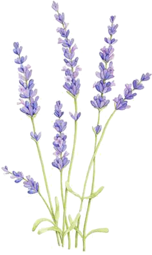 💫 Стикер «Flores» для Telegram