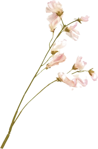 🌟 Стикер «Flores» для Telegram