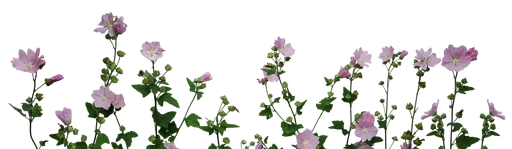 🌷 Стикер «Flores» для Telegram