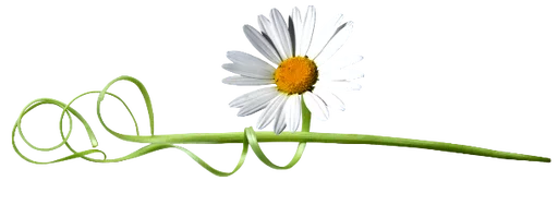 🌱 Стикер «Flores» для Telegram