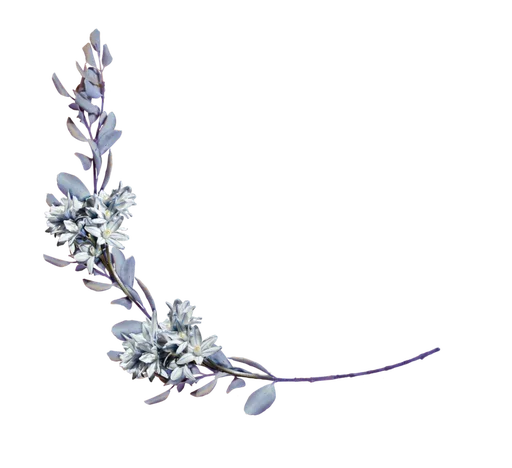 🌳 Стикер «Flores» для Telegram