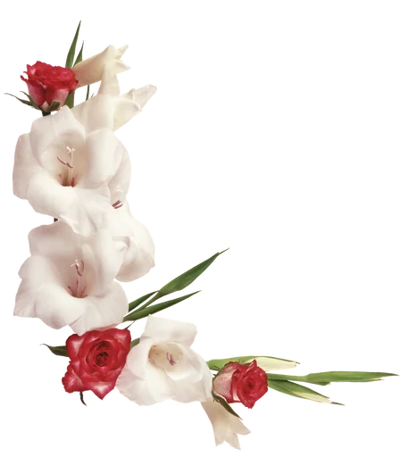 🌲 Стикер «Flores» для Telegram