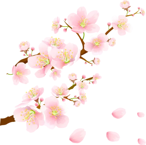 ☔ Стикер «Flores» для Telegram