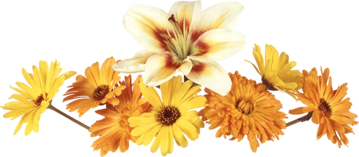 💦 Стикер «Flores» для Telegram