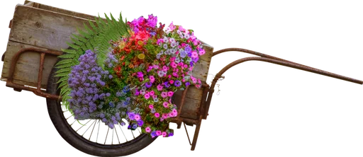 🚲 Стикер «Flores» для Telegram
