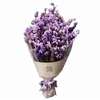 Стикер 31 ୨ Flower