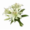 Стикер 15 ୨ Flower