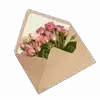 Стикер 14 ୨ Flower
