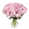 Стикер 26 ୨ Flower
