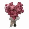 Обложка набора ୨ Flower