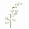 Стикер 21 ୨ Flower