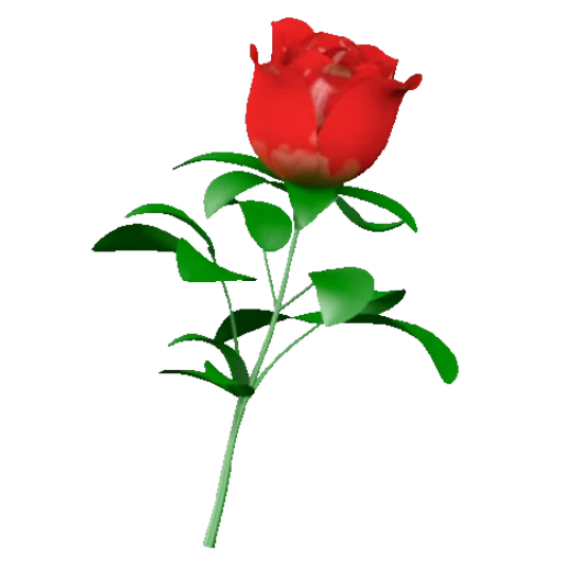 🌹 Стикер «Flowers 2» для Telegram