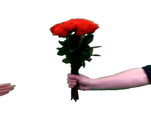 💐 Стикер «Flowers 2» для Telegram