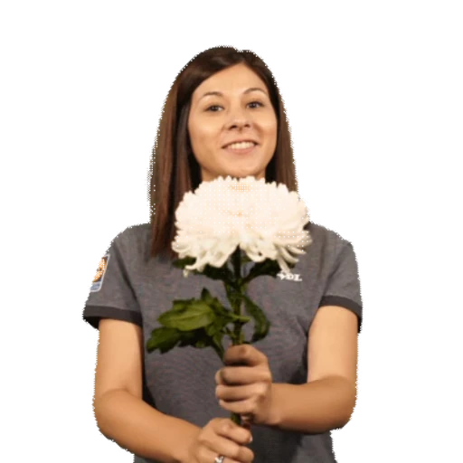 🌼 Стикер «Flowers 2» для Telegram