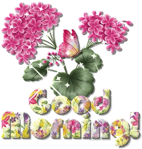🌞 Стикер «Flowers 2» для Telegram
