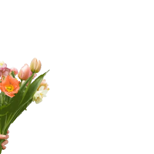 💐 Стикер «Flowers 2» для Telegram