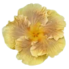 Стикер 35 Flowers