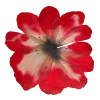 Стикер 8 Flowers