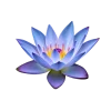 Стикер 54 Flowers