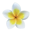 Стикер 38 Flowers