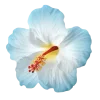 Стикер 47 Flowers