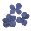 Стикер 56 Flowers