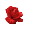 Стикер 6 Flowers