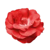 Стикер 5 Flowers