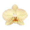 Стикер 36 Flowers