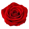 Стикер 2 Flowers