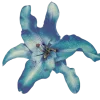 Стикер 44 Flowers