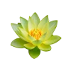 Стикер 39 Flowers
