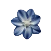 Стикер 49 Flowers