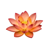 Стикер 21 Flowers